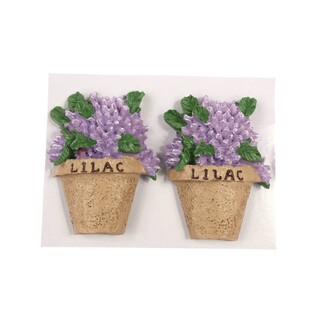 KVÍTEK NALEP. 3,5x6cm 2ks*MIX BAREV