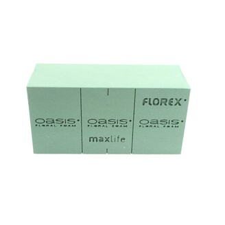OASIS FLOREX 10x20x7,7cm 35ks+5 GRATIS