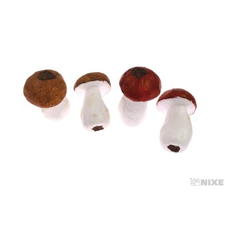 HŘÍBKY 6x9cm 4ks*HNĚDÁ