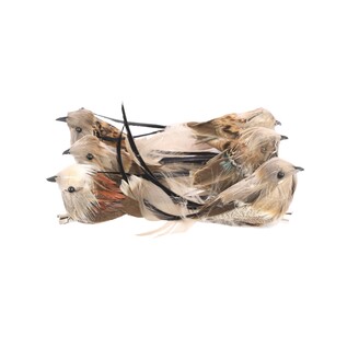 PTÁČEK  KLIPS 10cm 6ks*MIX BAREV