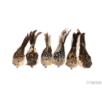 PTÁČEK KLIPS 10cm 6ks*MIX BAREV