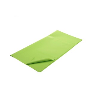 ARCH PLAST 58x58cm 20ks*ZELENÁ SV.