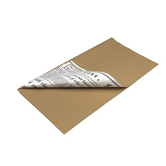 ARCH PLAST NEWS 58x58cm 20ks*PŘÍRODNÍ 03