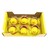KUŘÁTKA SKOŘÁPKA 6cm 6ks*ŽLUTÁ