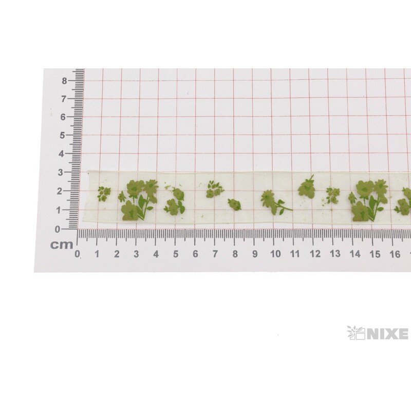 LILIA 5402 25mmx20m*ZELENÁ 520