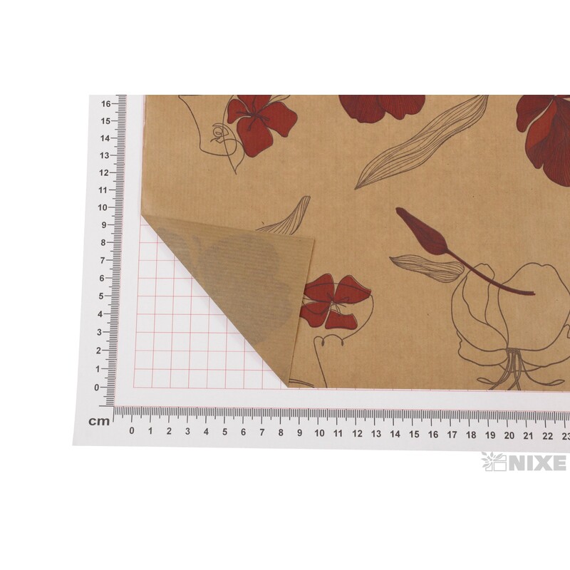 ROLE PAPÍR PALOMA 80cmx50m*PŘÍRODNÍ