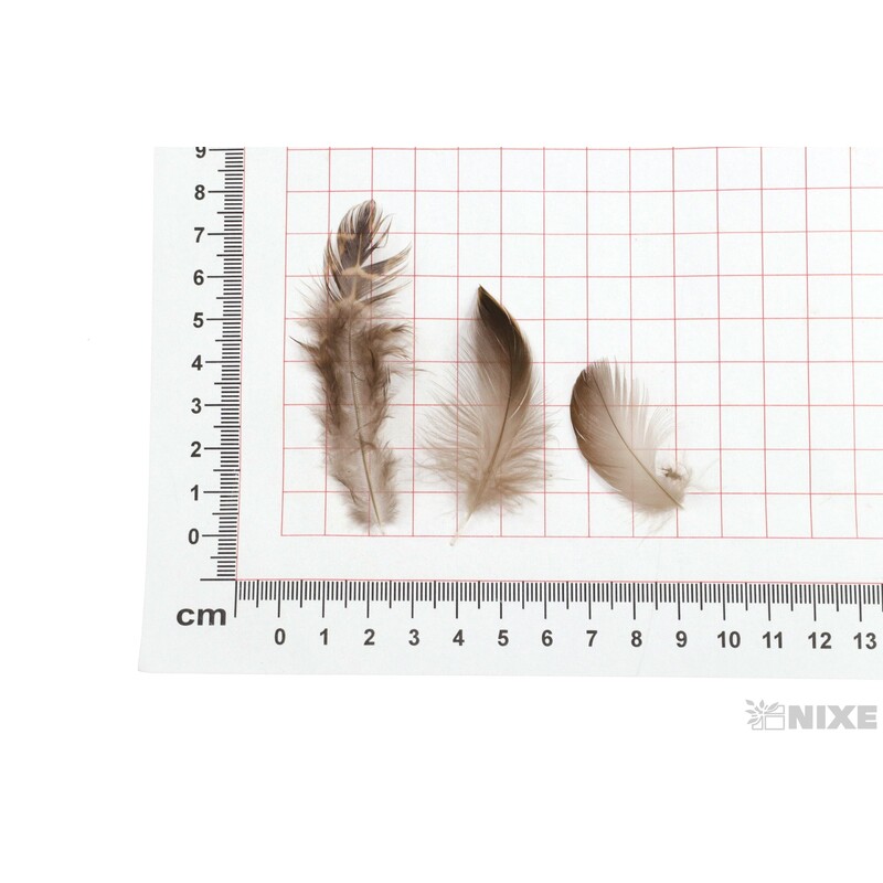 PEŘÍČKA SÁČEK 25ks 