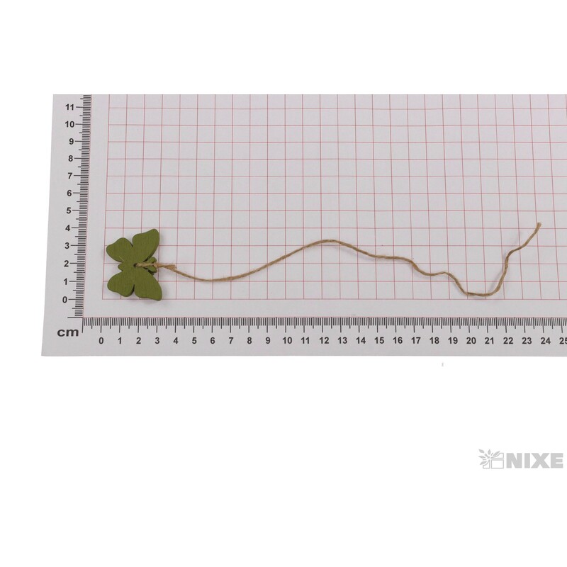 ZÁVĚS MOTÝL 4x3cm 15ks*ZELENÁ
