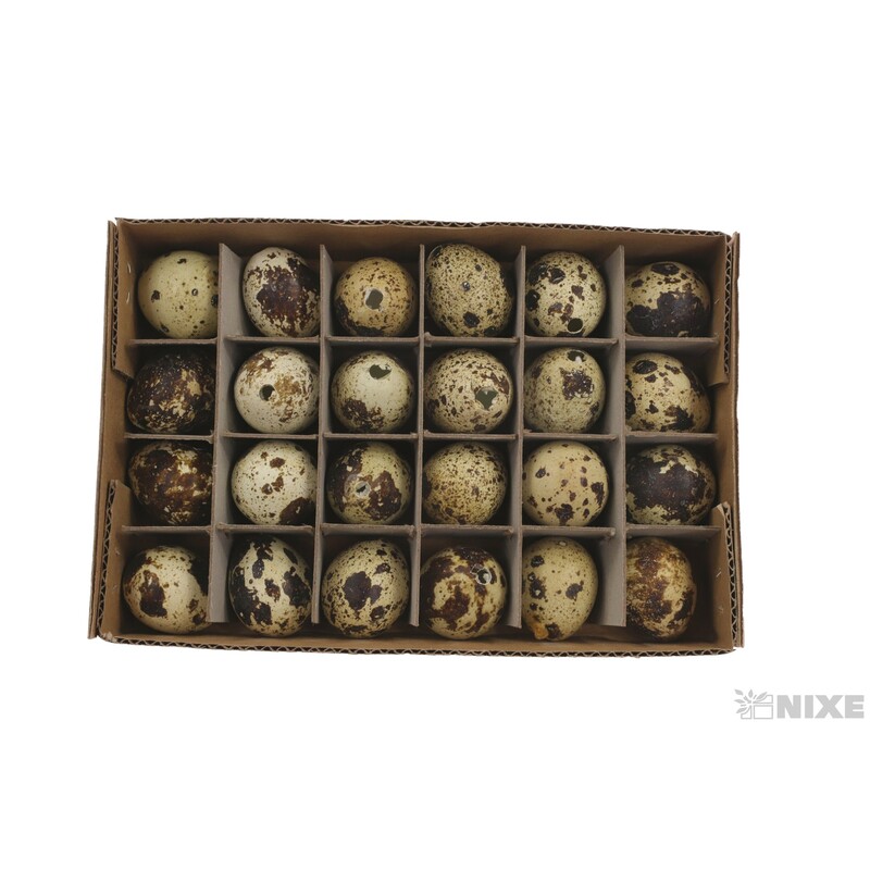 VAJÍČKA KŘEP. 3cm 24ks*PŘÍRODNÍ