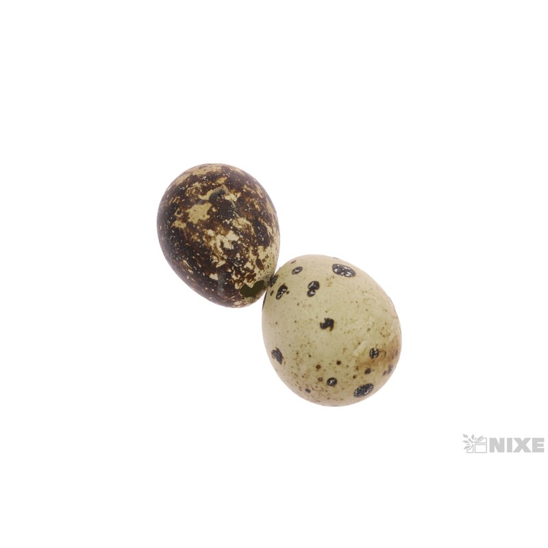 VAJÍČKA KŘEP. 3cm 24ks*PŘÍRODNÍ