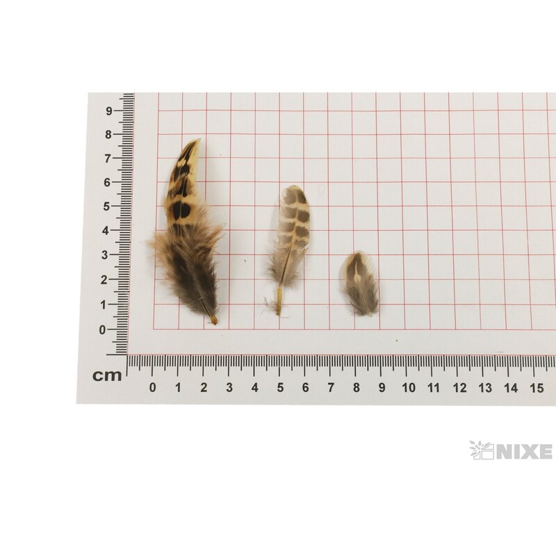 PEŘÍČKA BOX 16g*PŘÍRODNÍ