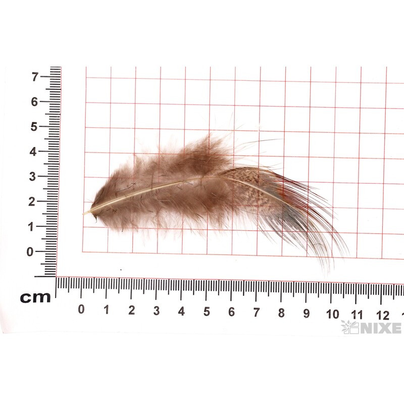 PEŘÍČKA BOX*PŘÍRODNÍ