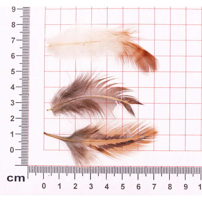 PEŘÍČKA SÁČEK*PŘÍRODNÍ