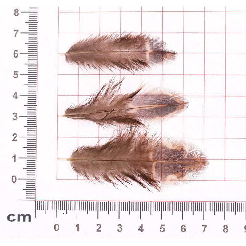 PEŘÍČKA SÁČEK*PŘÍRODNÍ