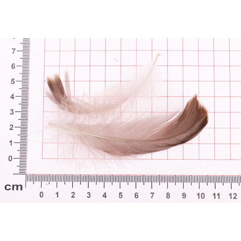 PEŘÍČKA SÁČEK*PŘÍRODNÍ