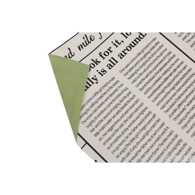 PL ROLE PEC NOVINY 58cmx10m*ZELENÁ