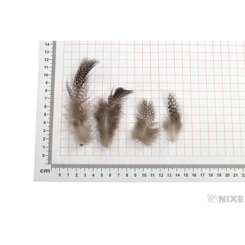 PEŘÍČKA BOX 16g*PŘÍRODNÍ