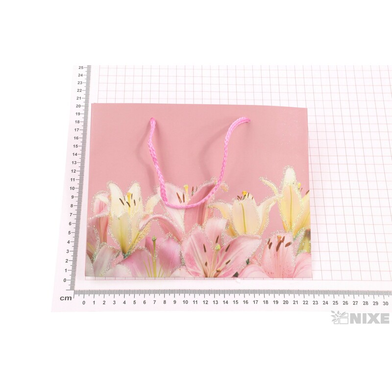 TAŠKA H 23x18x10cm*