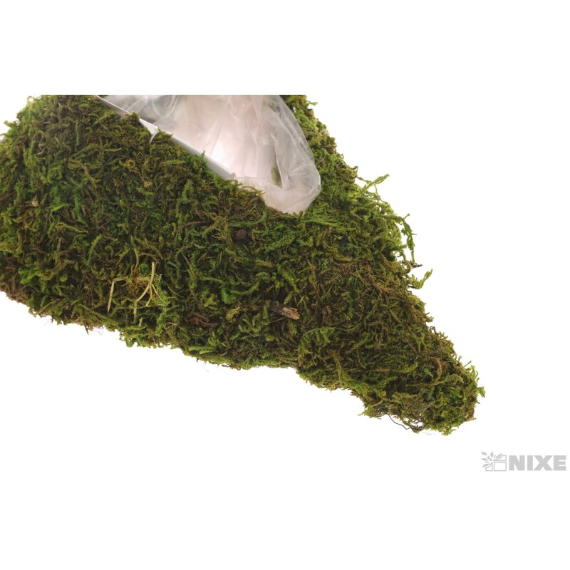 SRDCE MECH 14x21x6cm*ZELENÁ+HNĚDÁ