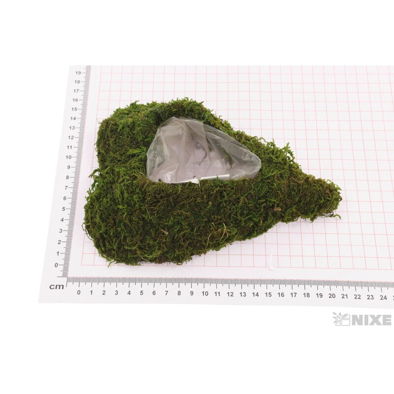 SRDCE MECH 14x21x6cm*ZELENÁ+HNĚDÁ