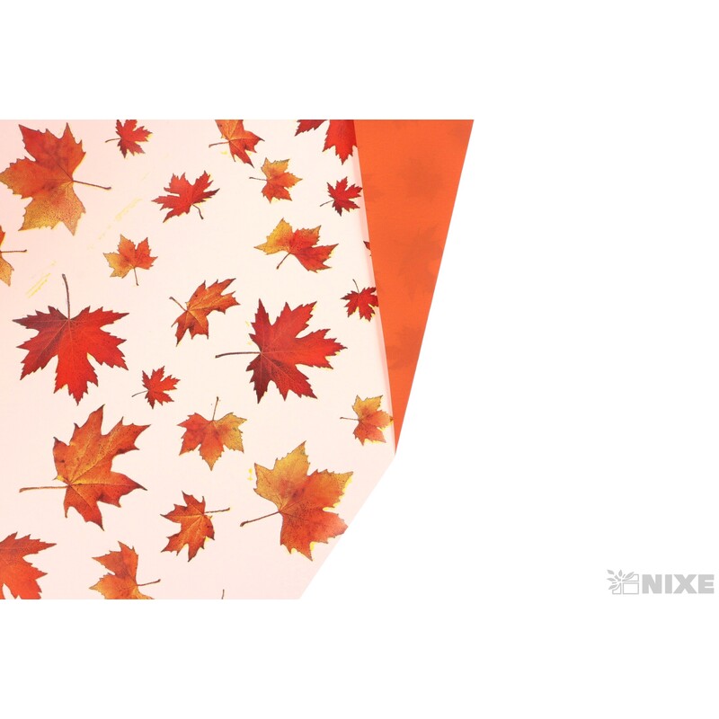 ROLE B-V31PM 70cmx50m*BÍLÁ