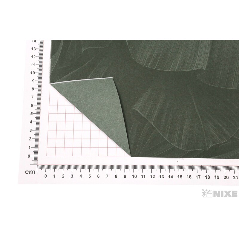 ROLE PAPÍR JUNGLE 80cmx25m*ZELENÁ