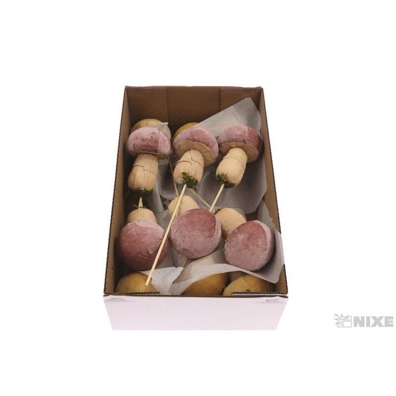 ZÁPICH HŘÍBEK 12ks 10x25cm*MIX BAREV