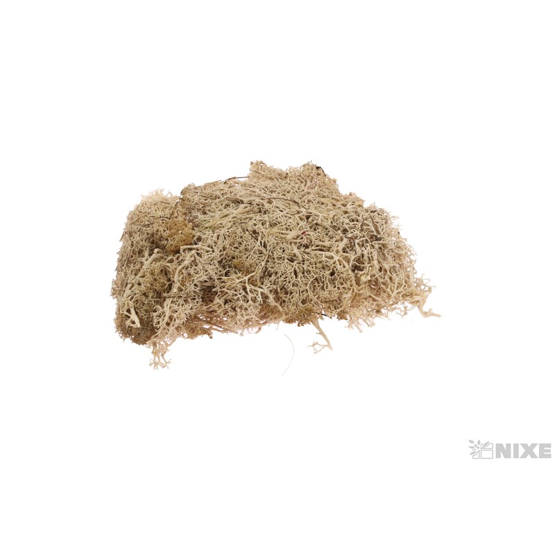 MECH 35g*PŘÍRODNÍ