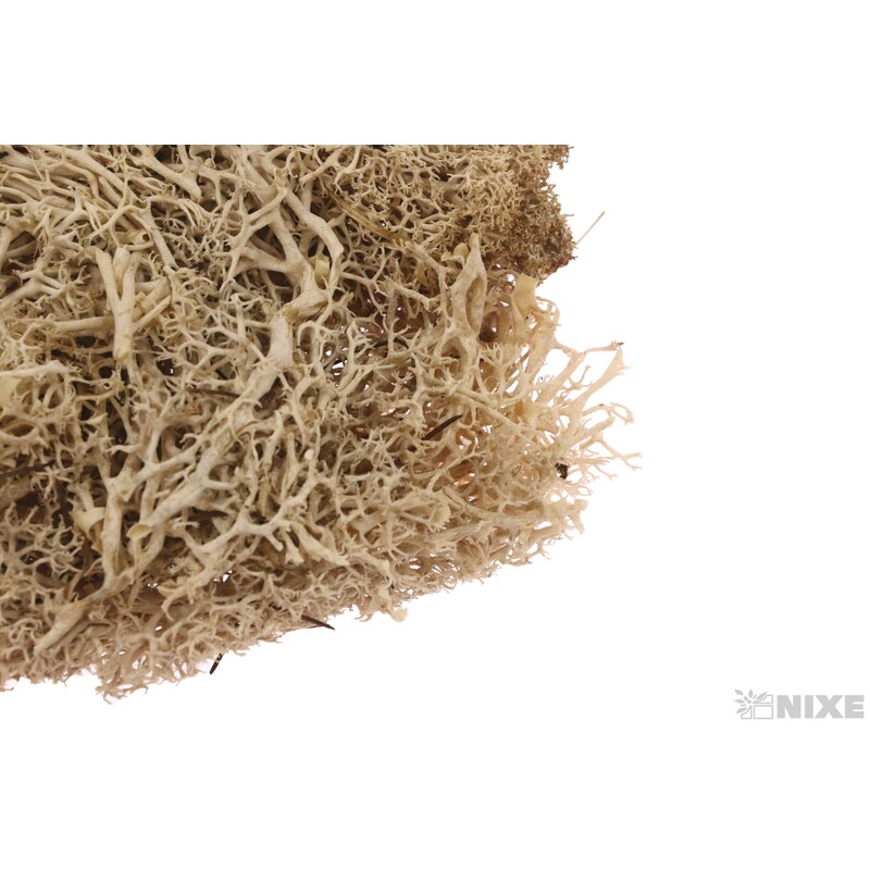 MECH 35g*PŘÍRODNÍ