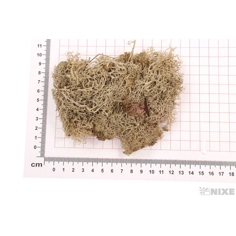 MECH 35g*PŘÍRODNÍ