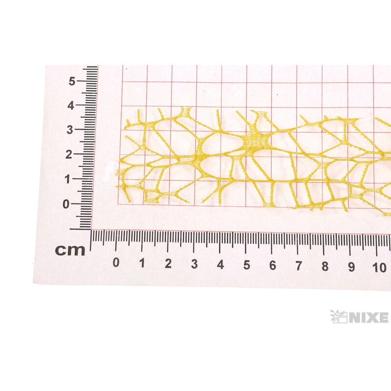 STUHA OCEANIA 40mmx10m*ŽLUTÁ