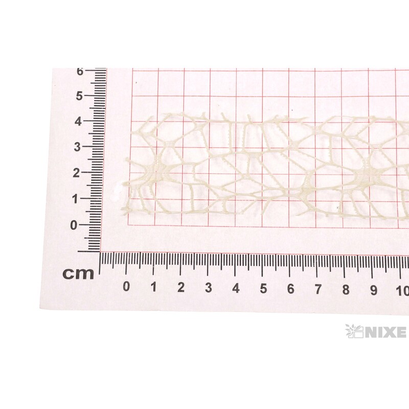 STUHA OCEANIA 40mmx10m*KRÉMOVÁ