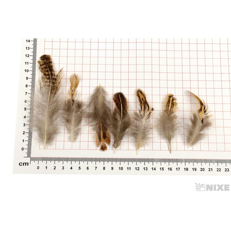 PEŘÍČKA BOX 3g*PŘÍRODNÍ