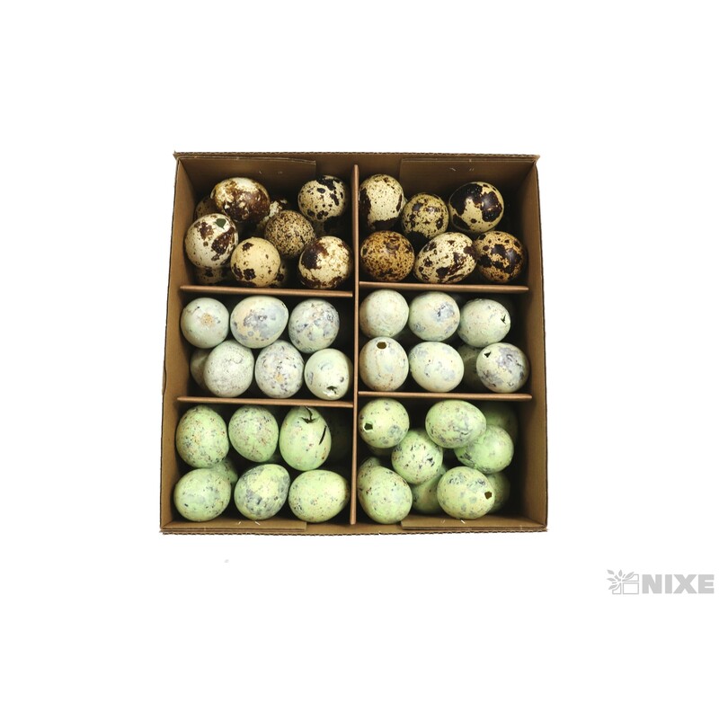 VAJÍČKA KŘEP. 3cm 72ks*MIX BAREV