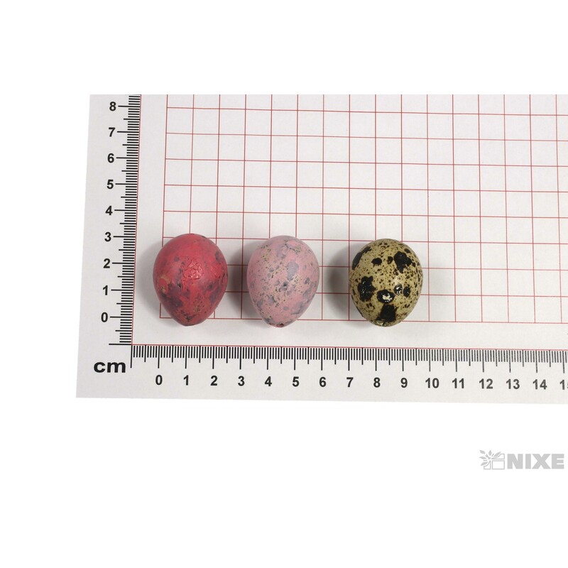 VAJÍČKA KŘEP. 3cm 72ks*MIX BAREV