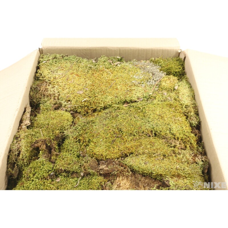 MECH FLAT 1kg*ZELENÁ