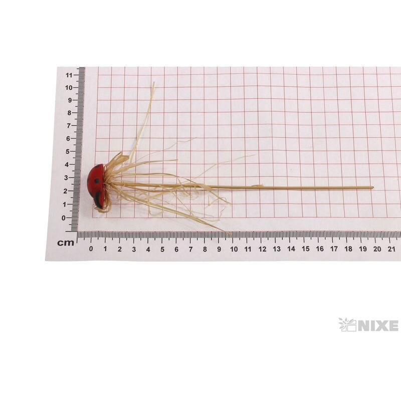 ZÁPICH BERUŠKA 12ks 3x20cm*ČERVENÁ