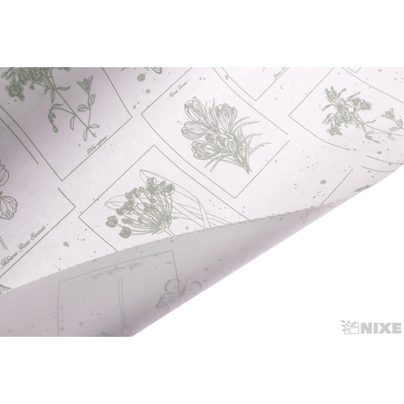 ROLE PAPÍR CURIOSITY 79cmx40m*BÍLÁ+ZELENÁ