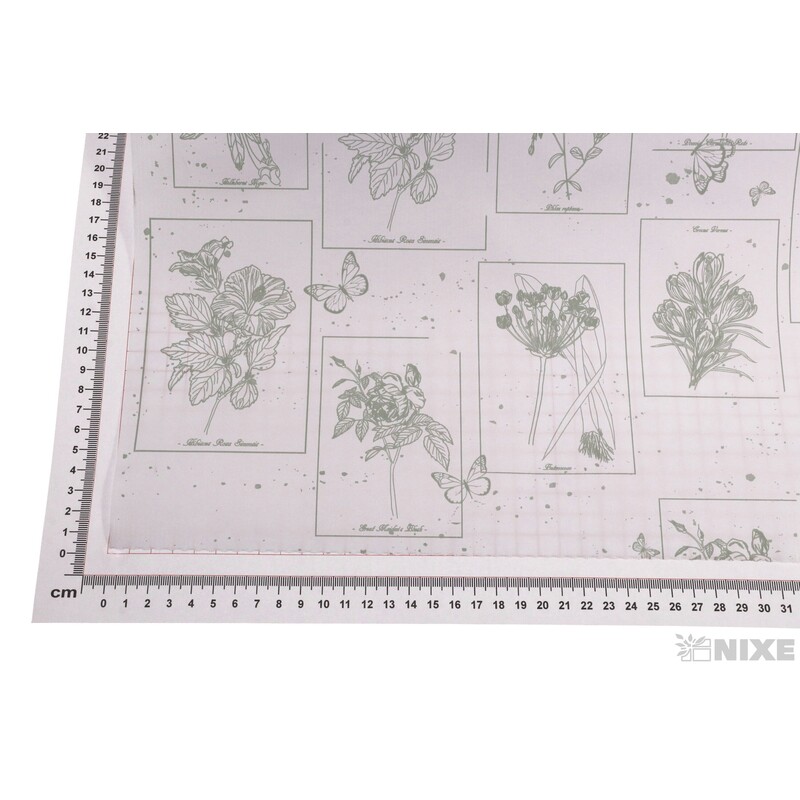 ROLE PAPÍR CURIOSITY 79cmx40m*BÍLÁ+ZELENÁ