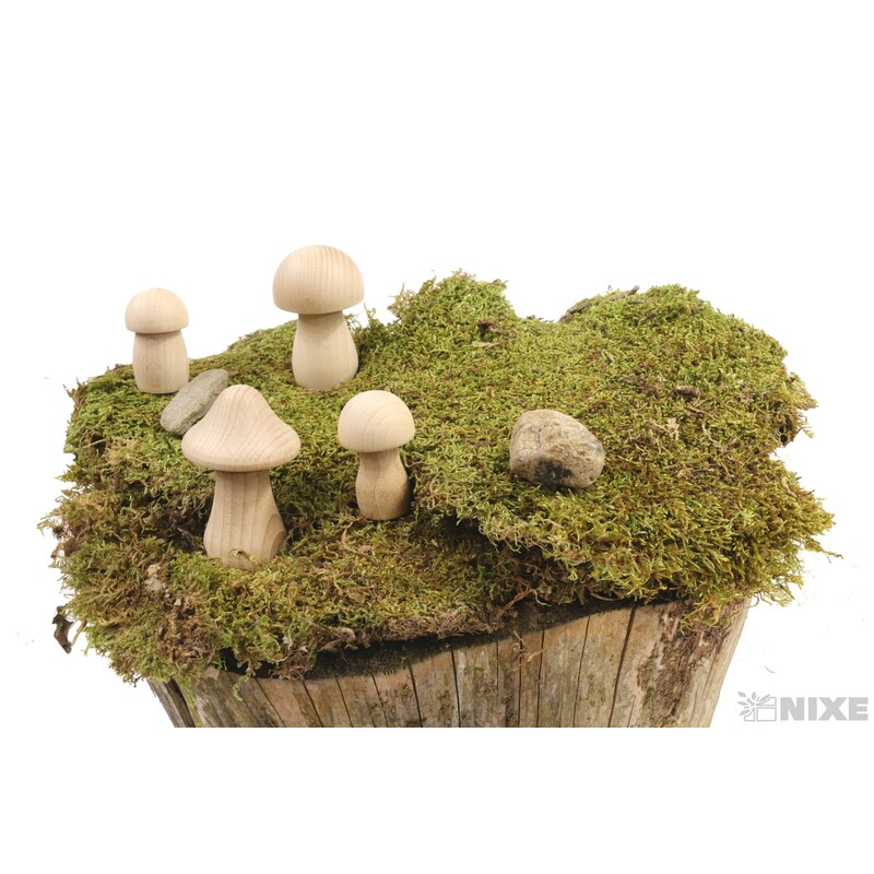 HŘIB PŘÍRODNÍ 2ks MV