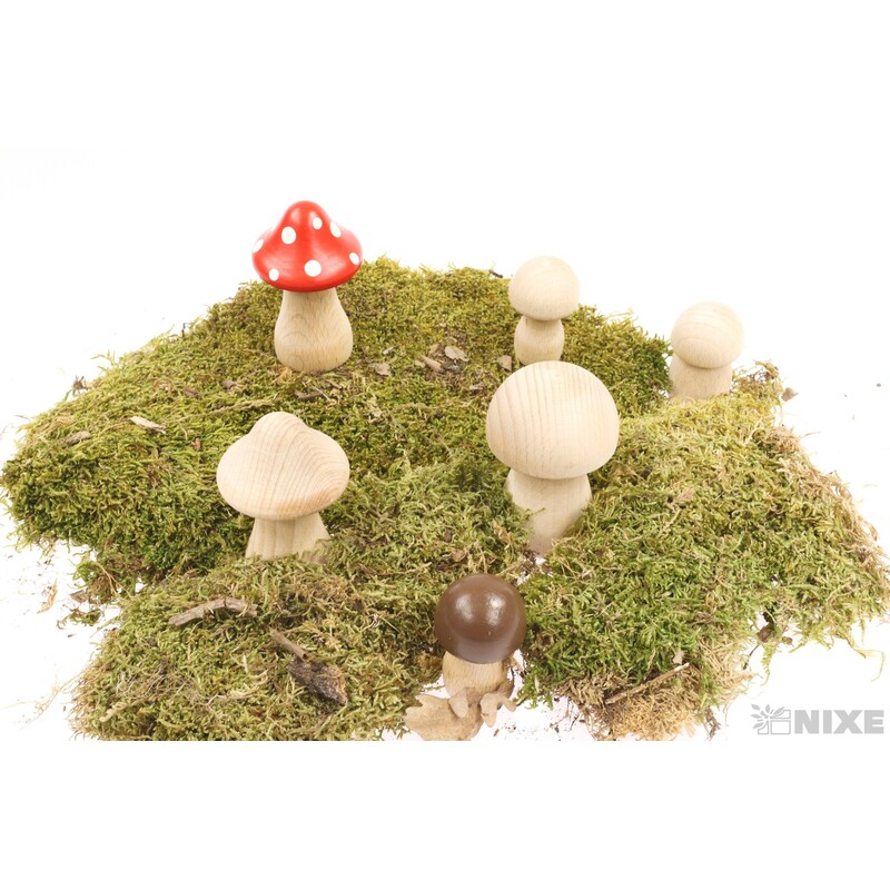 HŘIB PŘÍRODNÍ 2ks MV