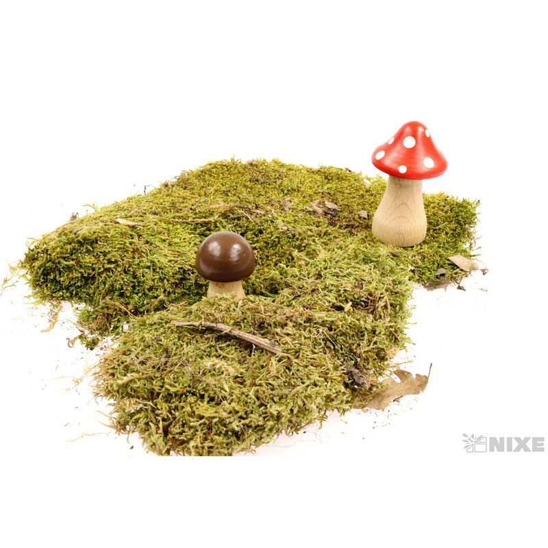 MUCHOMŮRKA BAREVNÁ 2ks MV