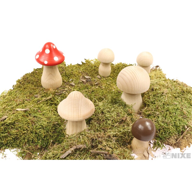 MUCHOMŮRKA PŘÍRODNÍ 2ks MV