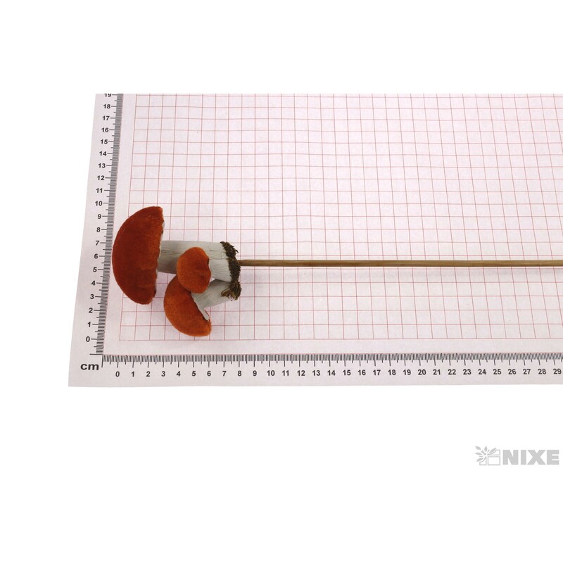 ZÁPICH HŘÍBEK 8x9x56cm*MIX BAREV