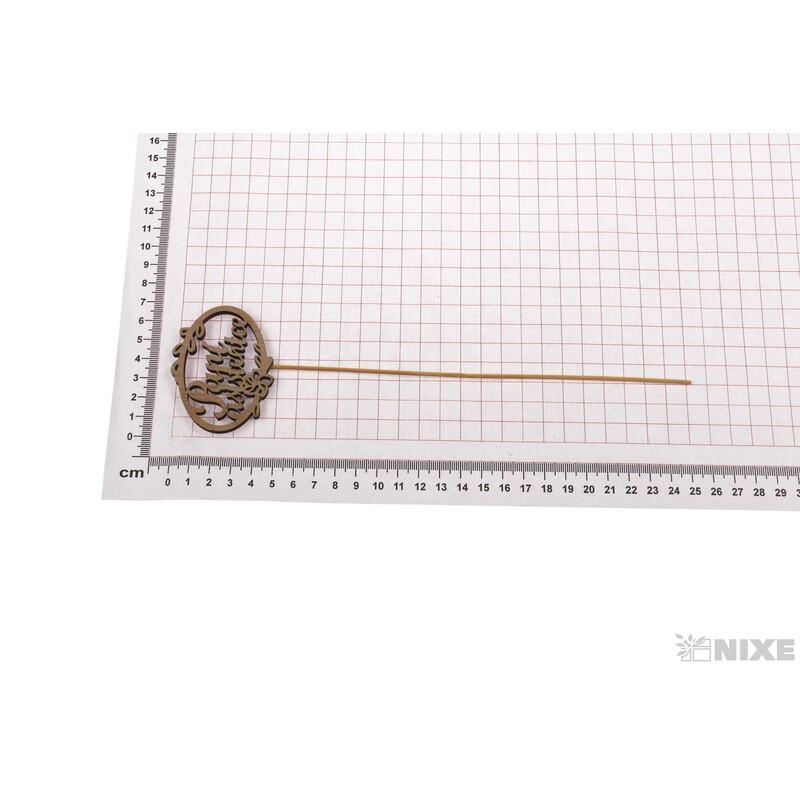 ZÁPICH OVÁL D ASISTENTKA 6,5x25cm 10ks*PŘÍRODNÍ