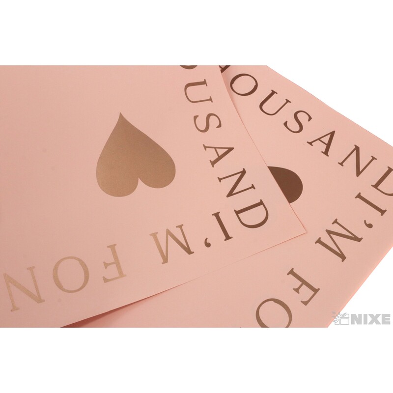 ARCH PLAST 58x60cm 20ks*LOSOSOVÁ