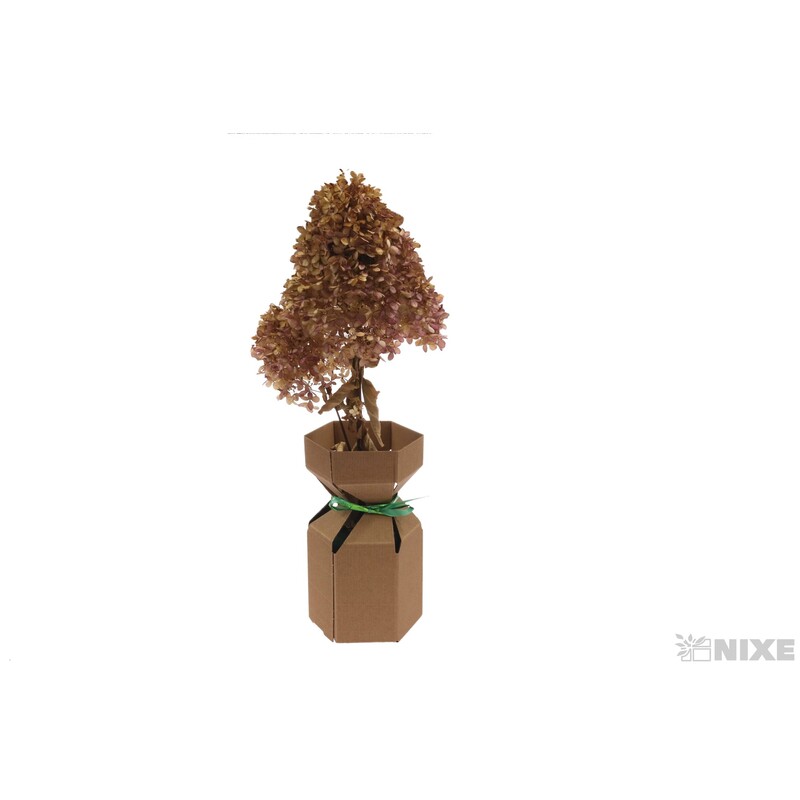 KVĚTINOVÝ BOX 13x17cm*PŘÍRODNÍ