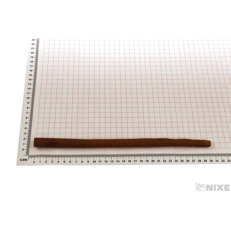 SKOŘICE 30cm 1kg*HNĚDÁ