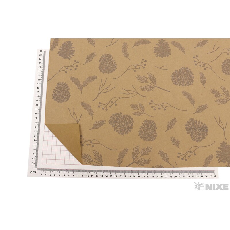 ROLE PAPÍR PIGNE 70cmx50m*STŘÍBRNÁ