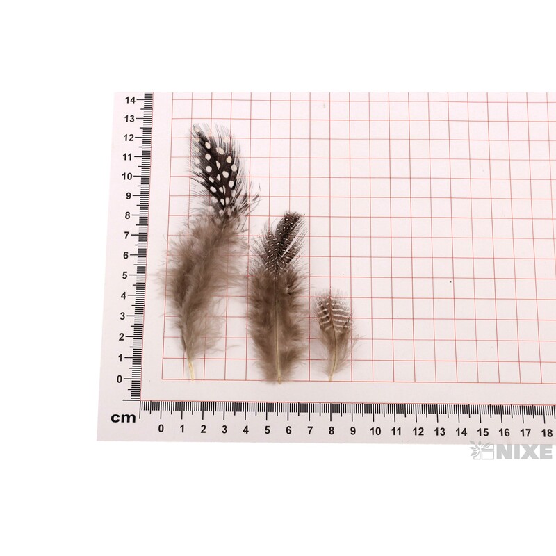 PEŘÍČKA SÁČEK 10gr.*PŘÍRODNÍ